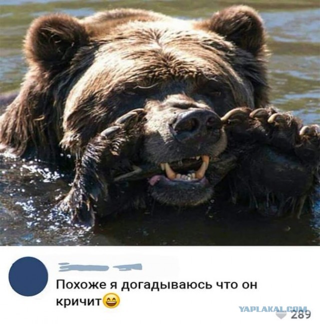 Сексом дружбу не испортишь