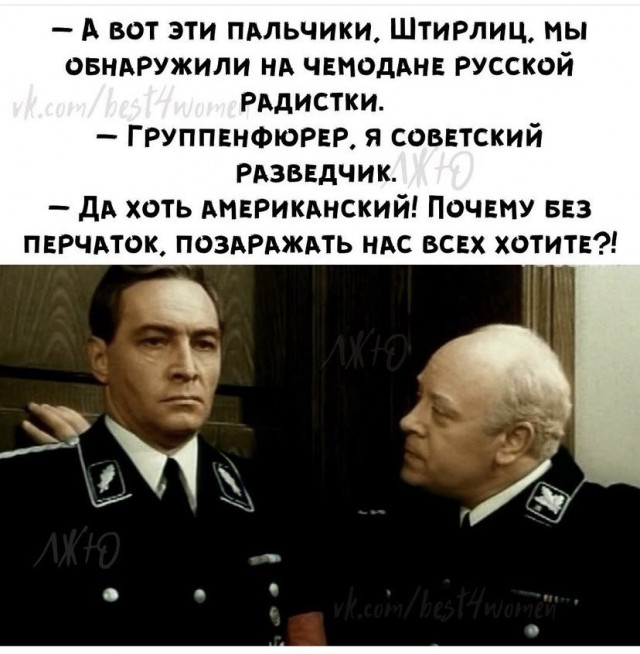 Картинки из рабочего чата 13.11.21