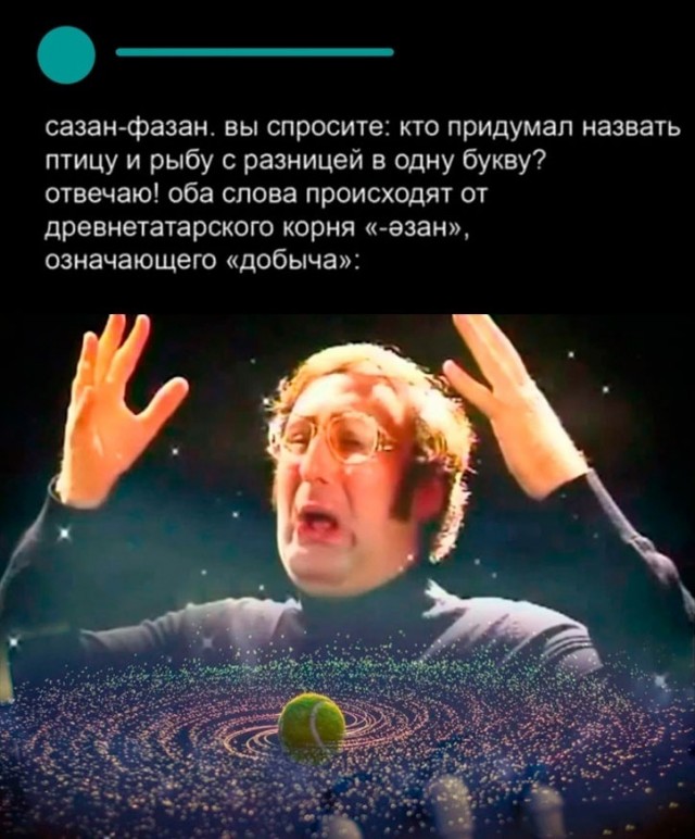 Всяческие картинки 10.12.2021