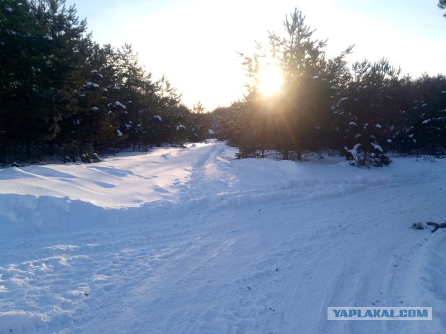 Не корона, не куркод, не казахи. Глянь на снежную сказку