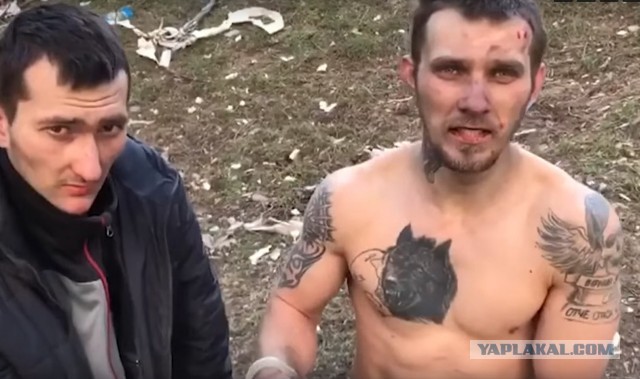 Мамкиным воякам по щам надавали