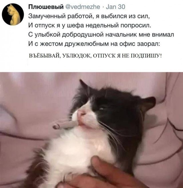 Картинки и мемы для настроения - 29