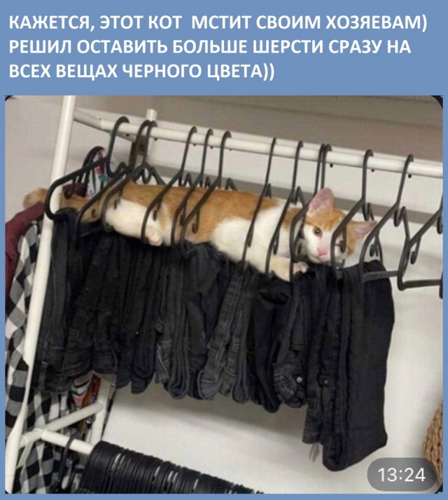 Так себе картинки 29.05.22
