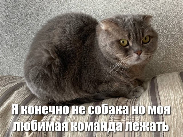 Так себе картинки 11.06.22