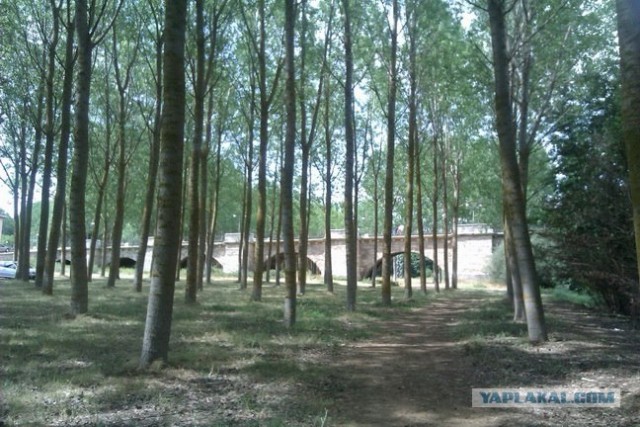 500 км. по Испании пешком