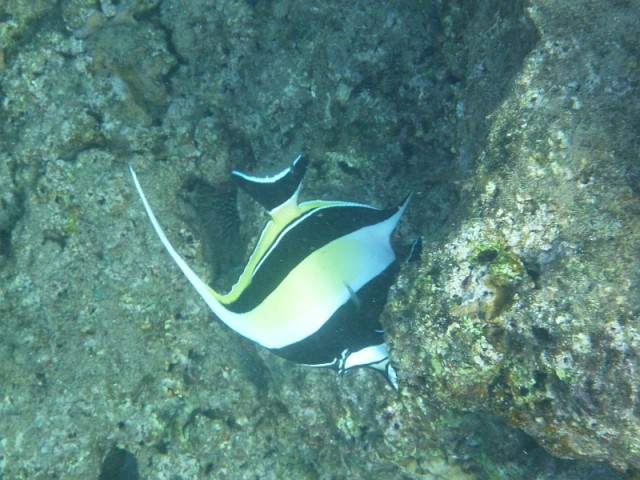 Деревенская Америка