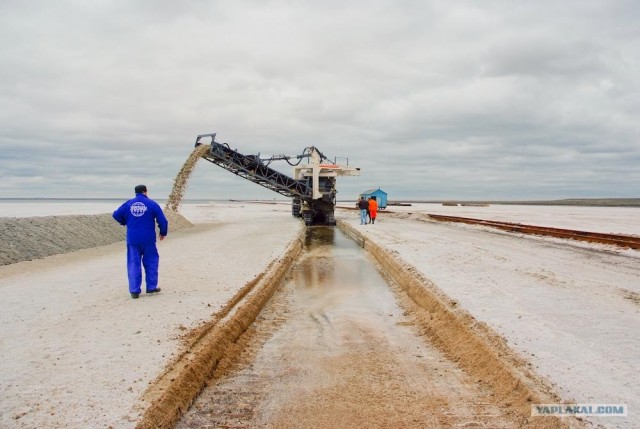 Вот в чем вся соль!