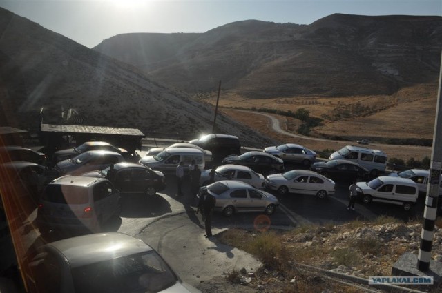 Как я ездил в Египет