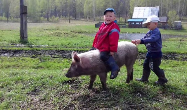 Утро, блондинка, лошадка
