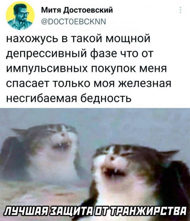 Весёлый полтишок 02.11.22