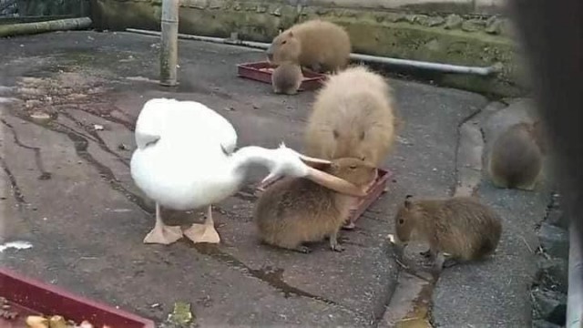 Преступление и наказание