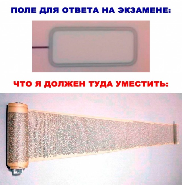 Весёлый полтишок 29.12.22