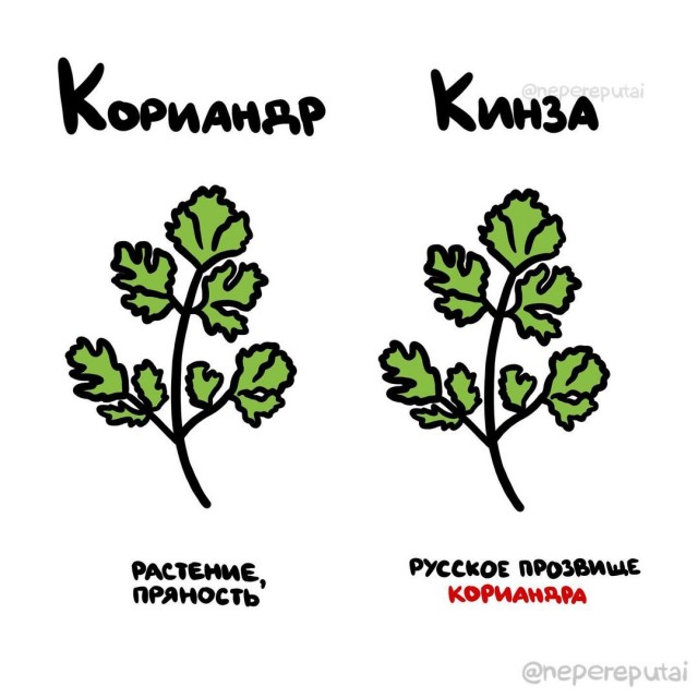 Смотри, Кутузов, не перепутай... vol.3