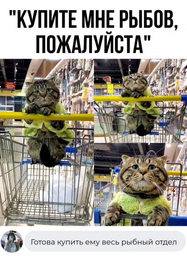 Нуштош 28.02.23