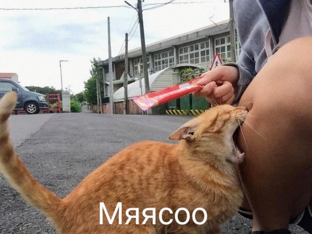 Немного картинок для настроения - 155