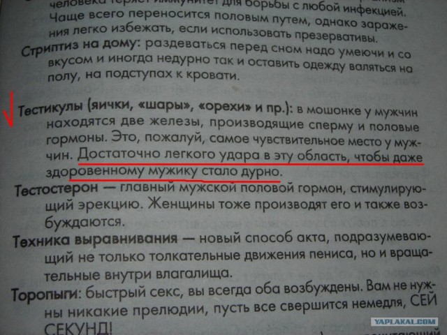 Горячий секс, Секс-словарь!