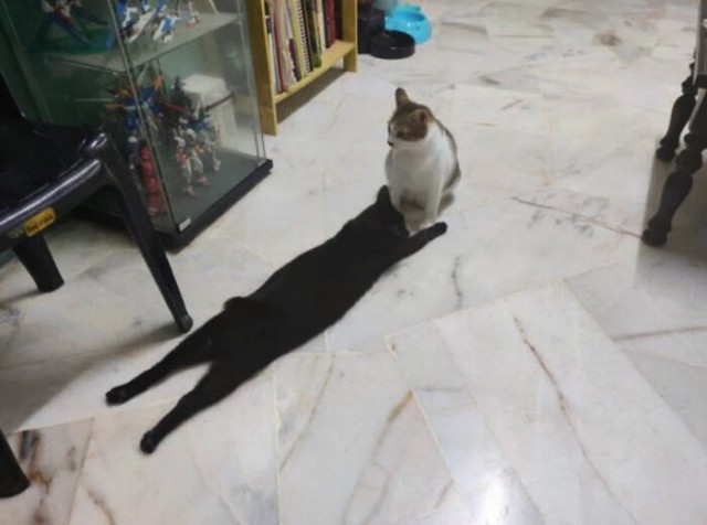 Фотографии , на которые нужно посмотреть дважды