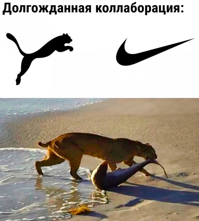 Так себе картинки 02.09.23