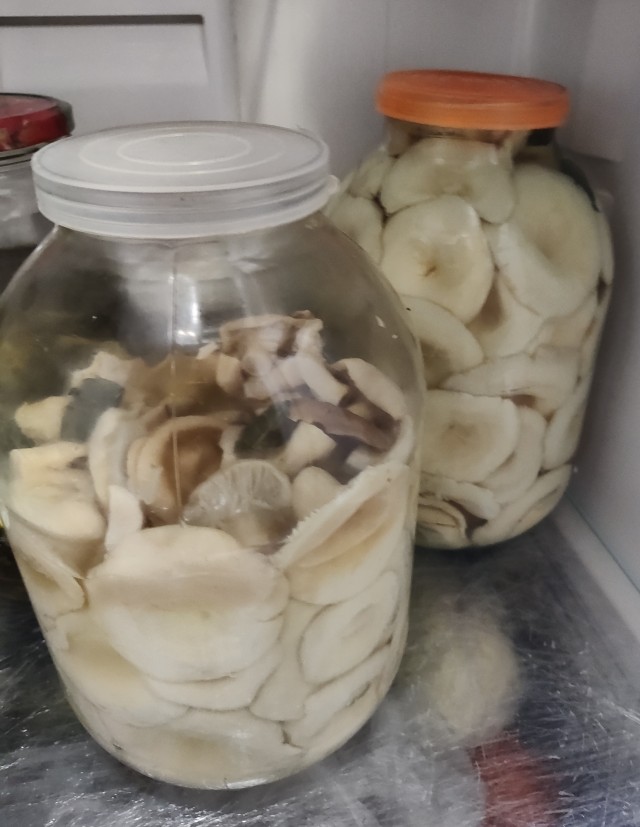 Солим сырые грузди