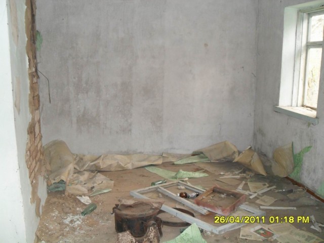 Чернобыль 2011