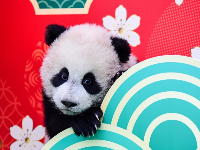 Подборка интересных и веселых картинок 13.02.24