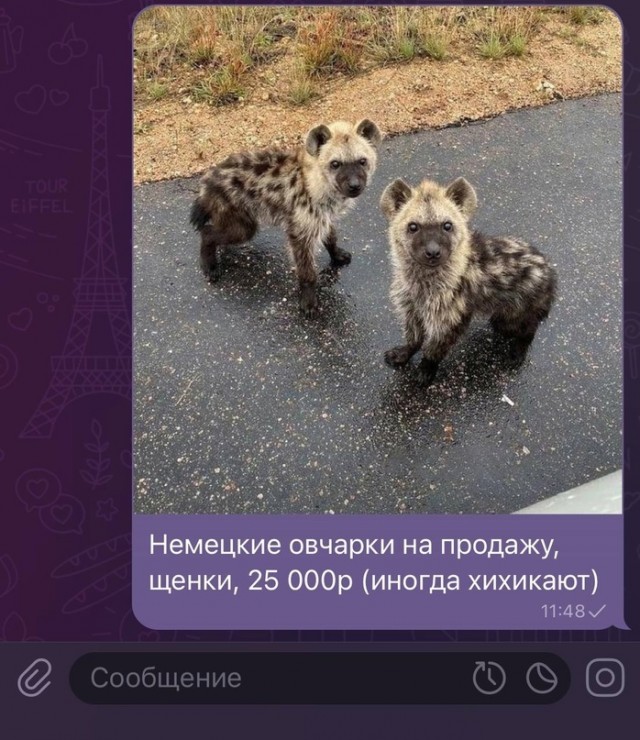 Видимо надо брать, пока не раскупили