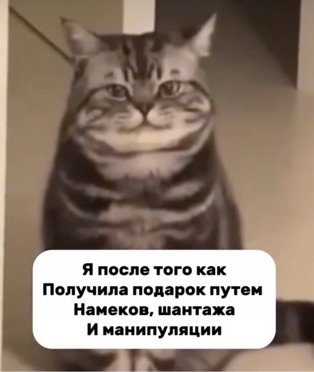 Так себе картинки 22.10.24