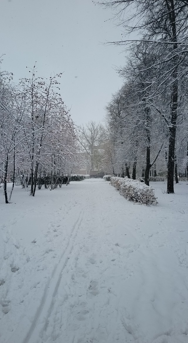 Ну вот и началась...