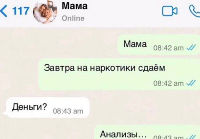 Немного забавных картинок от 22.12.24