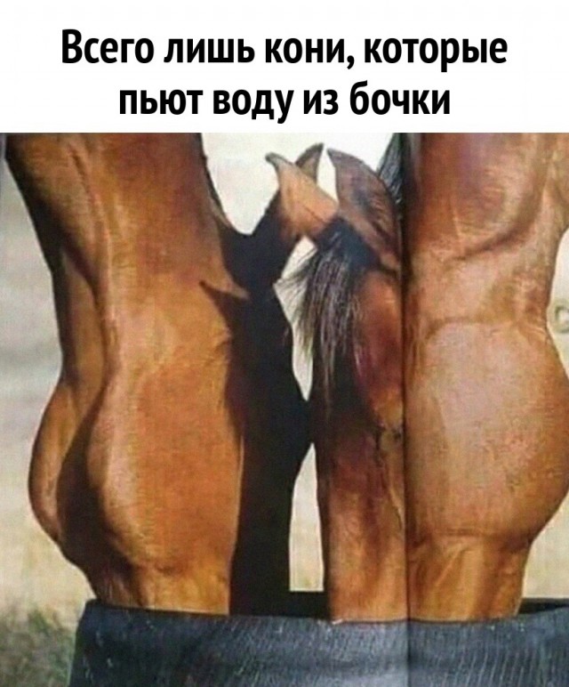 Завалялось тут случайно немного забавных картинок