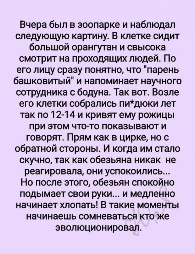 Завалялось тут случайно немного забавных картинок