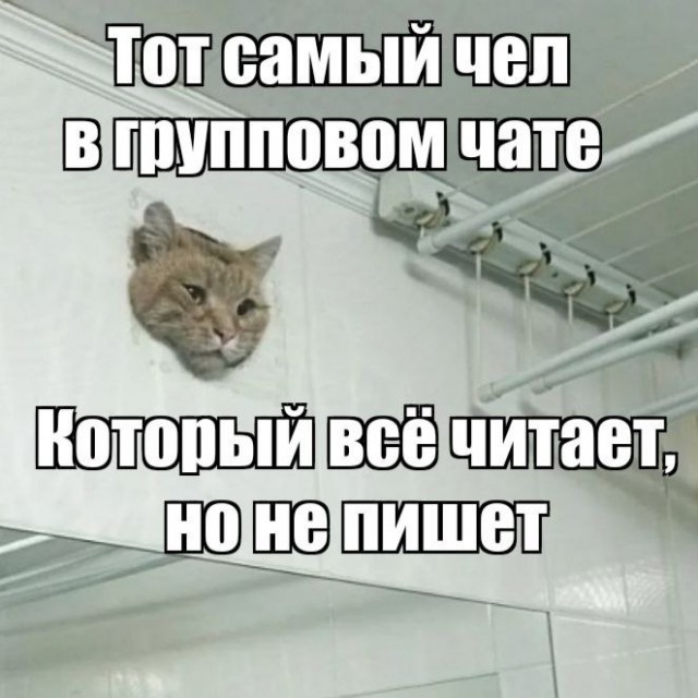 Решил поделиться моей коллекцией боянов