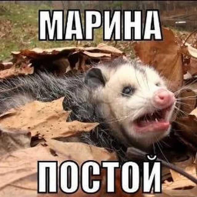 Друга завёл