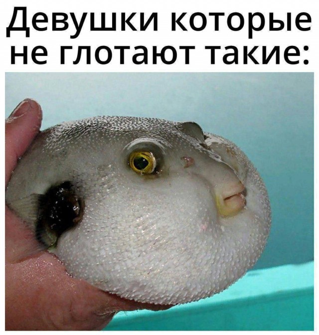 Сборник чтобы подеградировать - 16