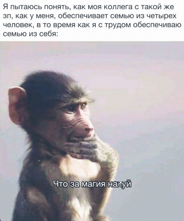 Так себе картинки 22.07.25