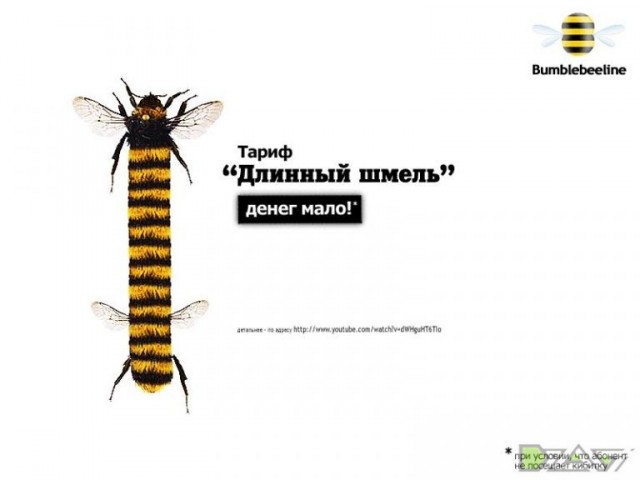 Почему шмели лучше пчел.