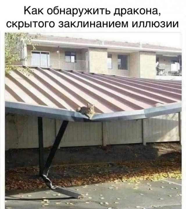 Веселое настроение в картинках (22.10.2025)
