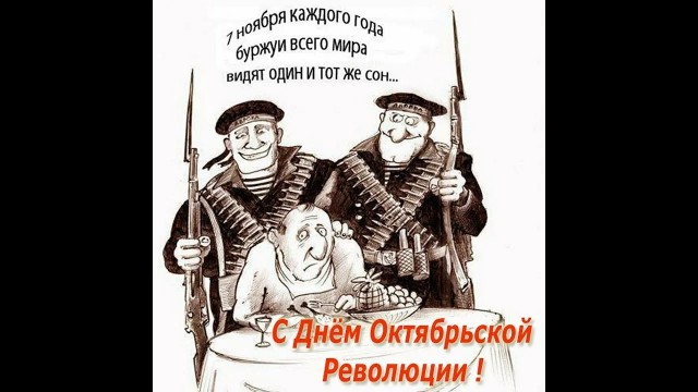 Жизнь домашнего приюта для котеек 562