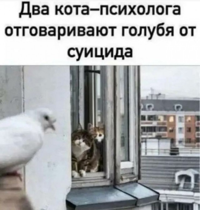 Прикольные и просто красивые картинки 18.11.2025