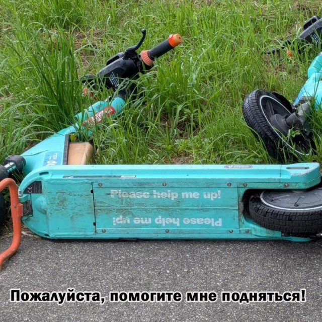В России началась обязательная маркировка игрушек, бритв и какао