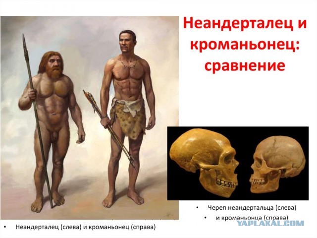 Находка в заброшке