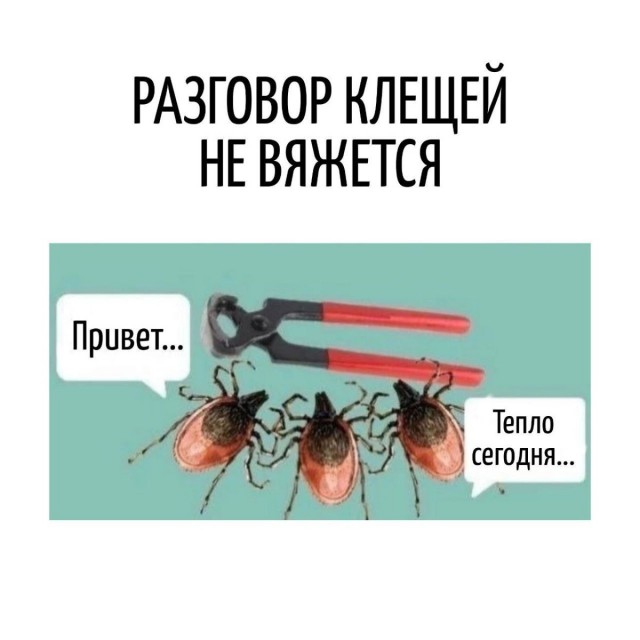 Игра слов в картинках 25.12.25
