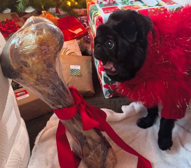 Так выглядит счастье!