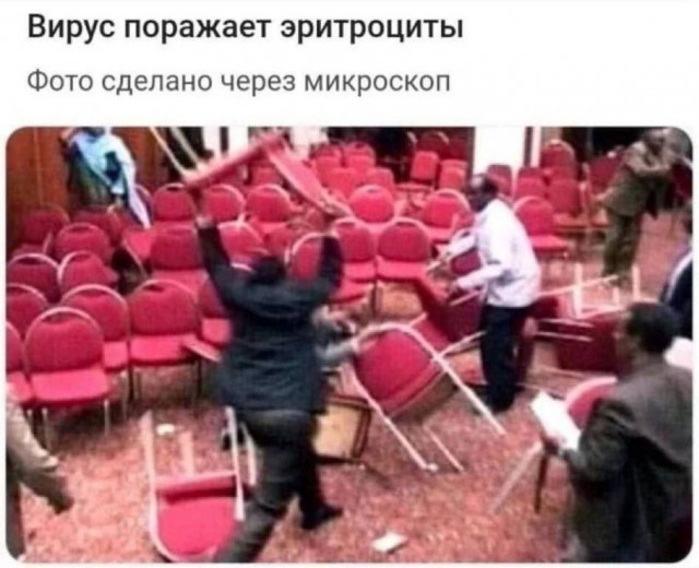 Картинки для деградации 146 (разной степени свежести)