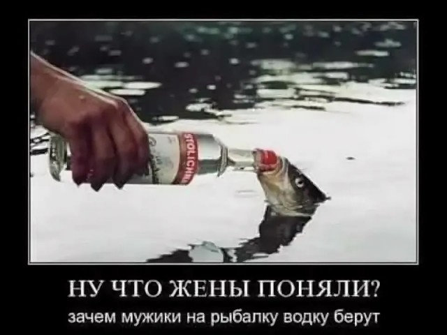 Лучшее пятничное видео