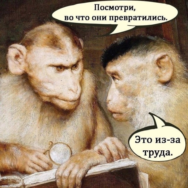 Субботние картинки