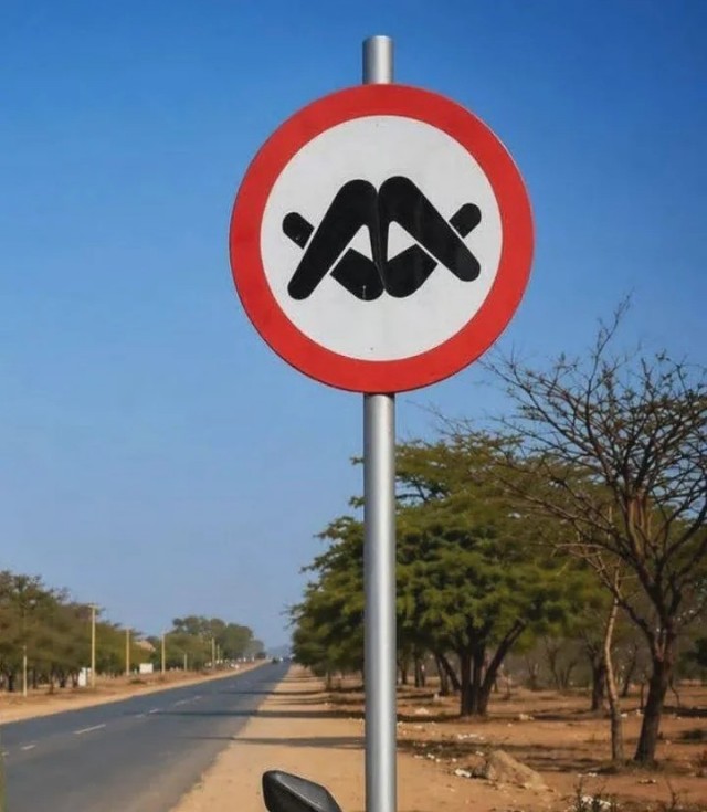 Всякой дряни притащил