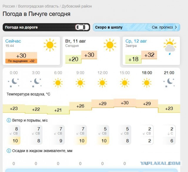 ДНК-тест