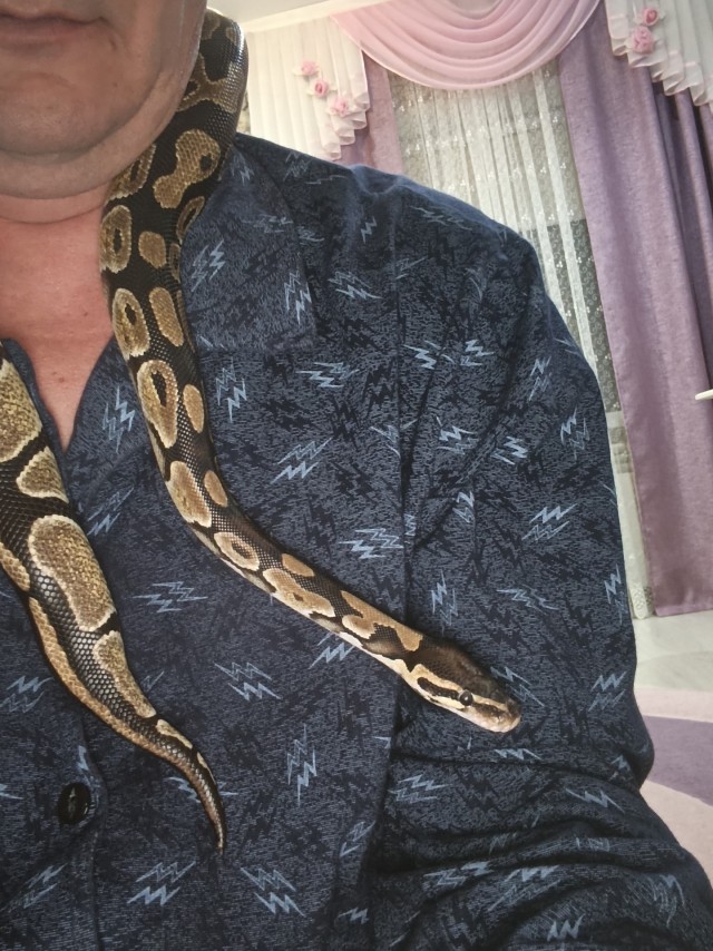 КАА