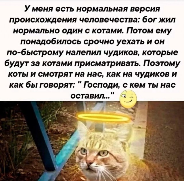 Картинки для деградации 266 (разной степени свежести)